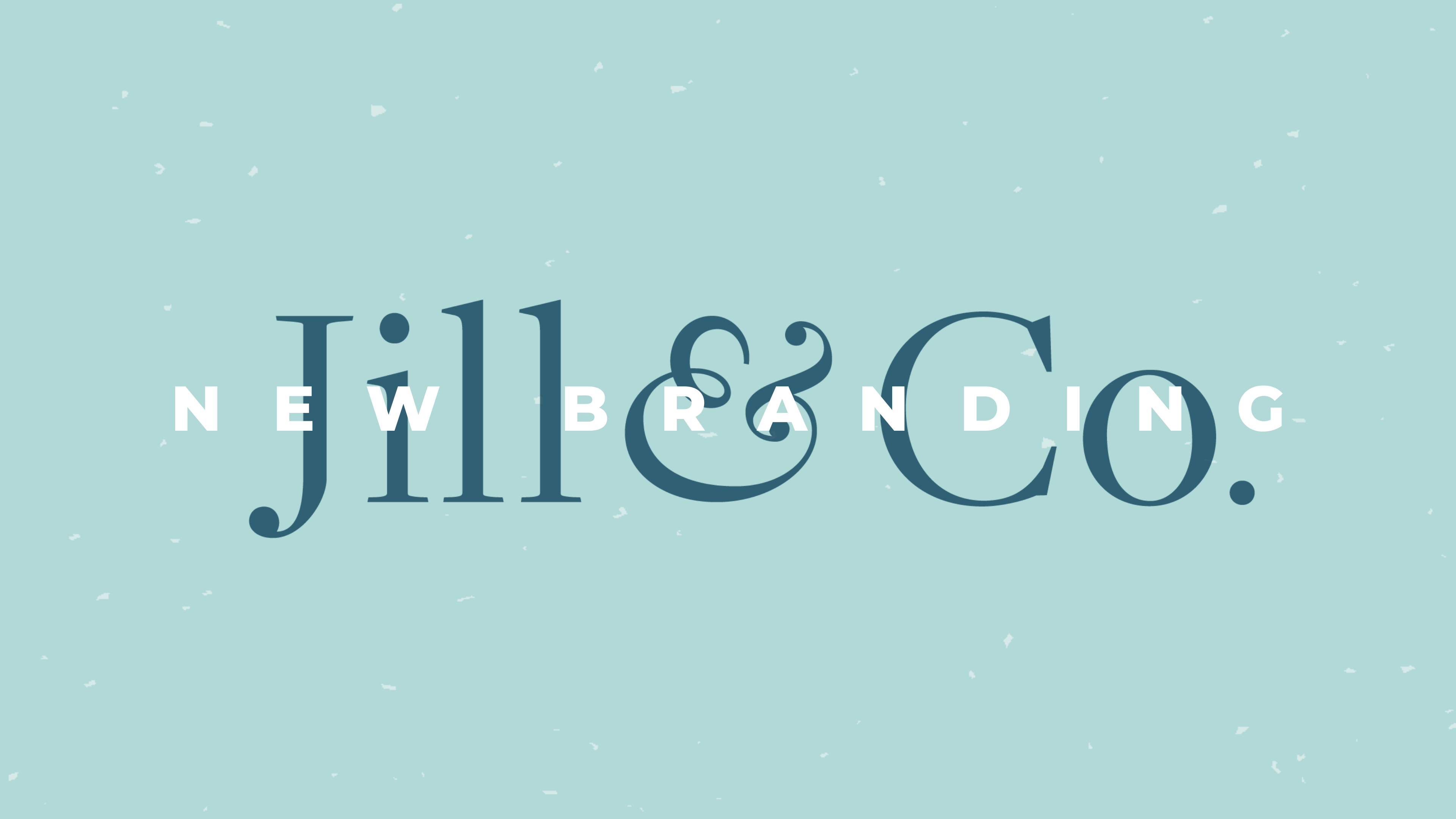 2024 New Jill & Co. Realty Group Rebranding and Marketing Efforts